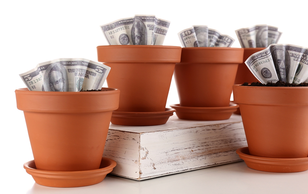 Business concept: growing money in the flowerpots, isolated on w
